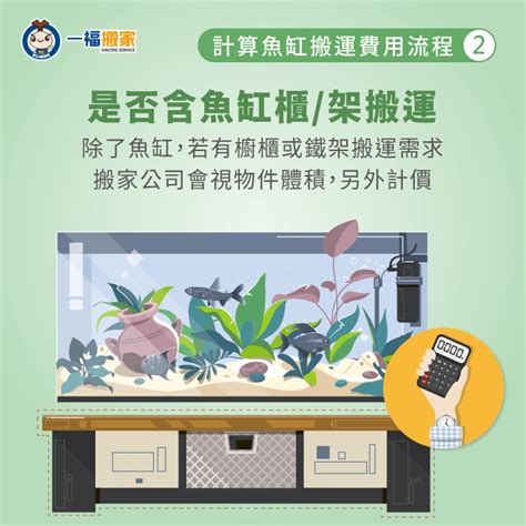 魚缸搬家|【魚缸搬運實錄】搬家公司如何搬魚缸？搬家公司搬魚。